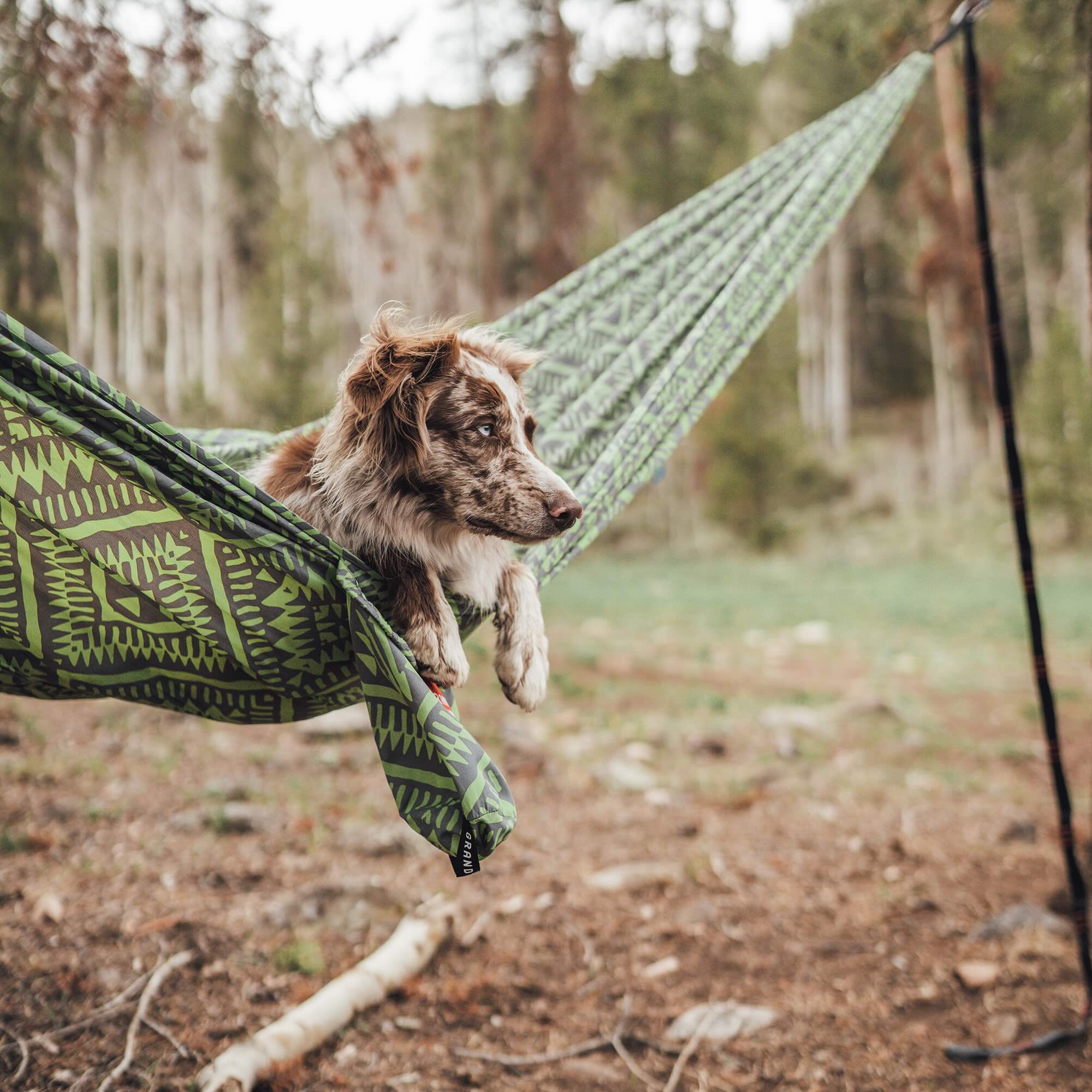 Grand Trunk TrunkTech Double Hammock (green mamba)