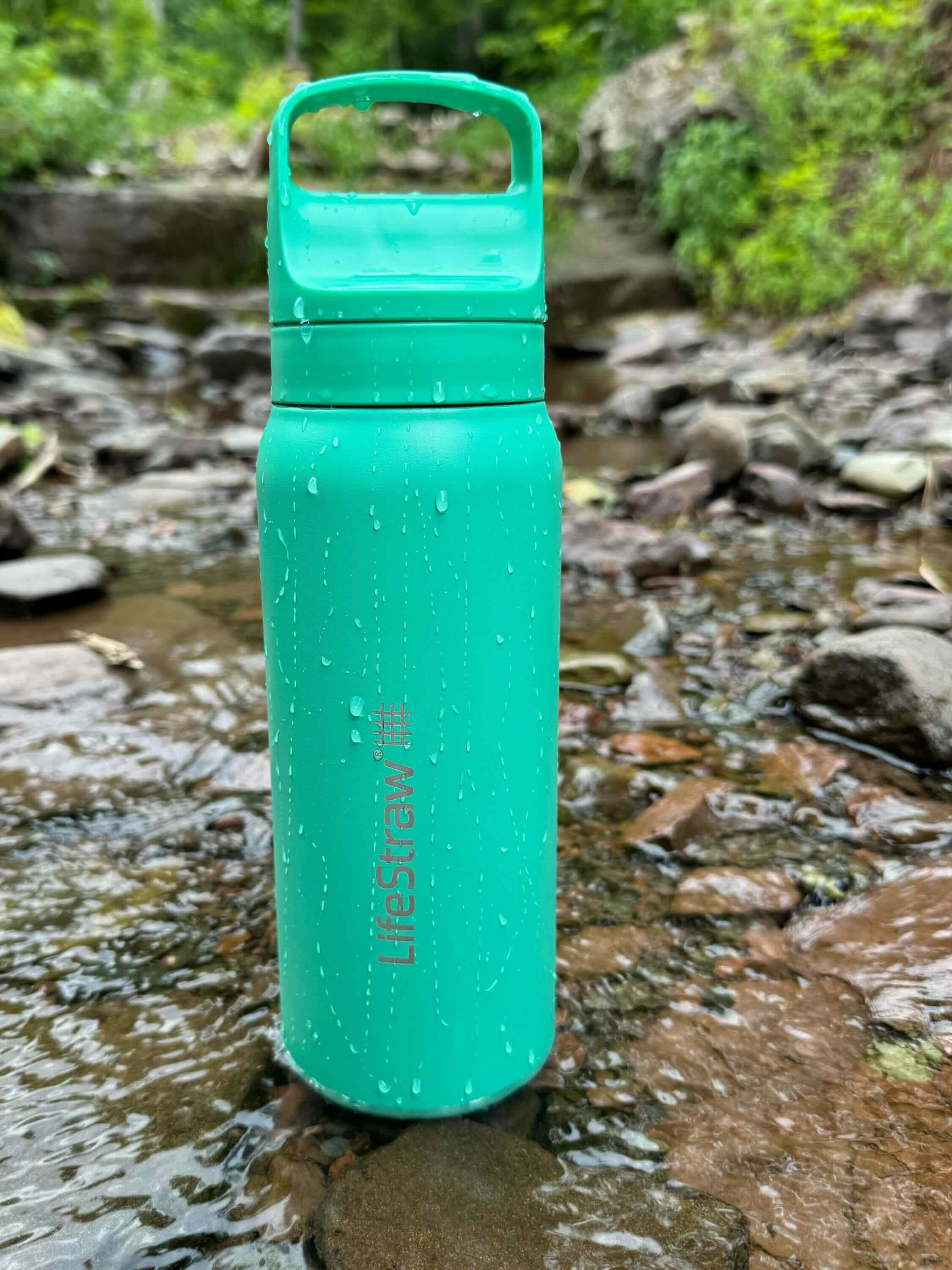 LifeStraw Go Steel 700ml (cactus green)