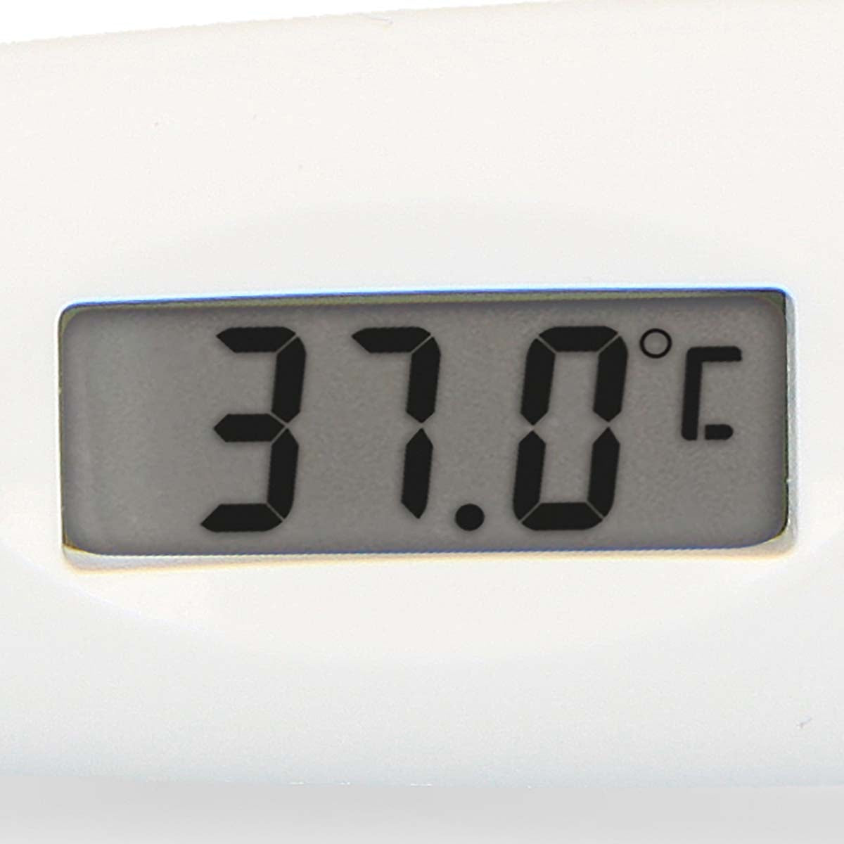 Digitales Thermometer Grau