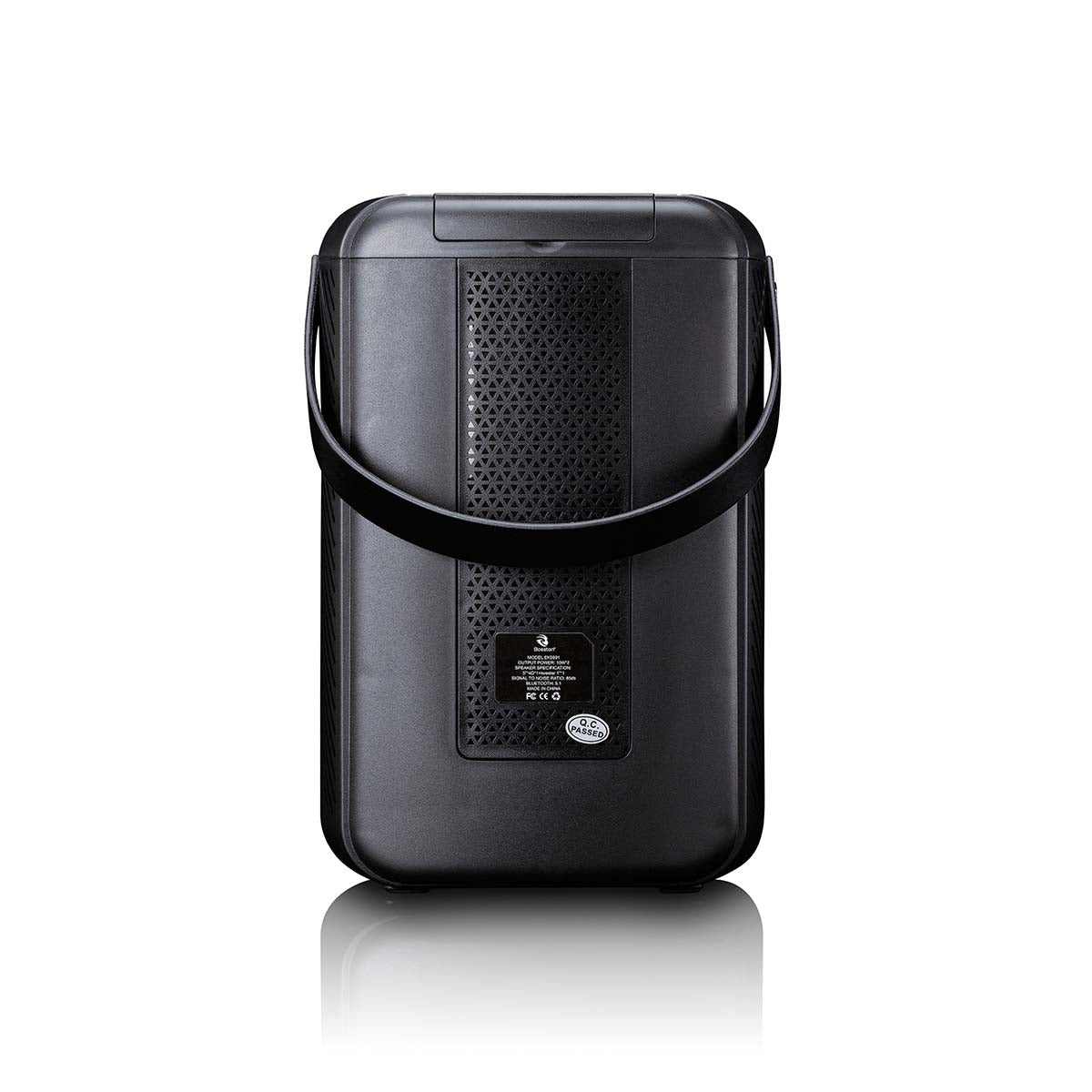 Karaoke-System mit Bluetooth®, wiederaufladbarem Akku, drahtlosem Karaoke-Mikrofon und Disco-LED-Beleuchtung Schwarz