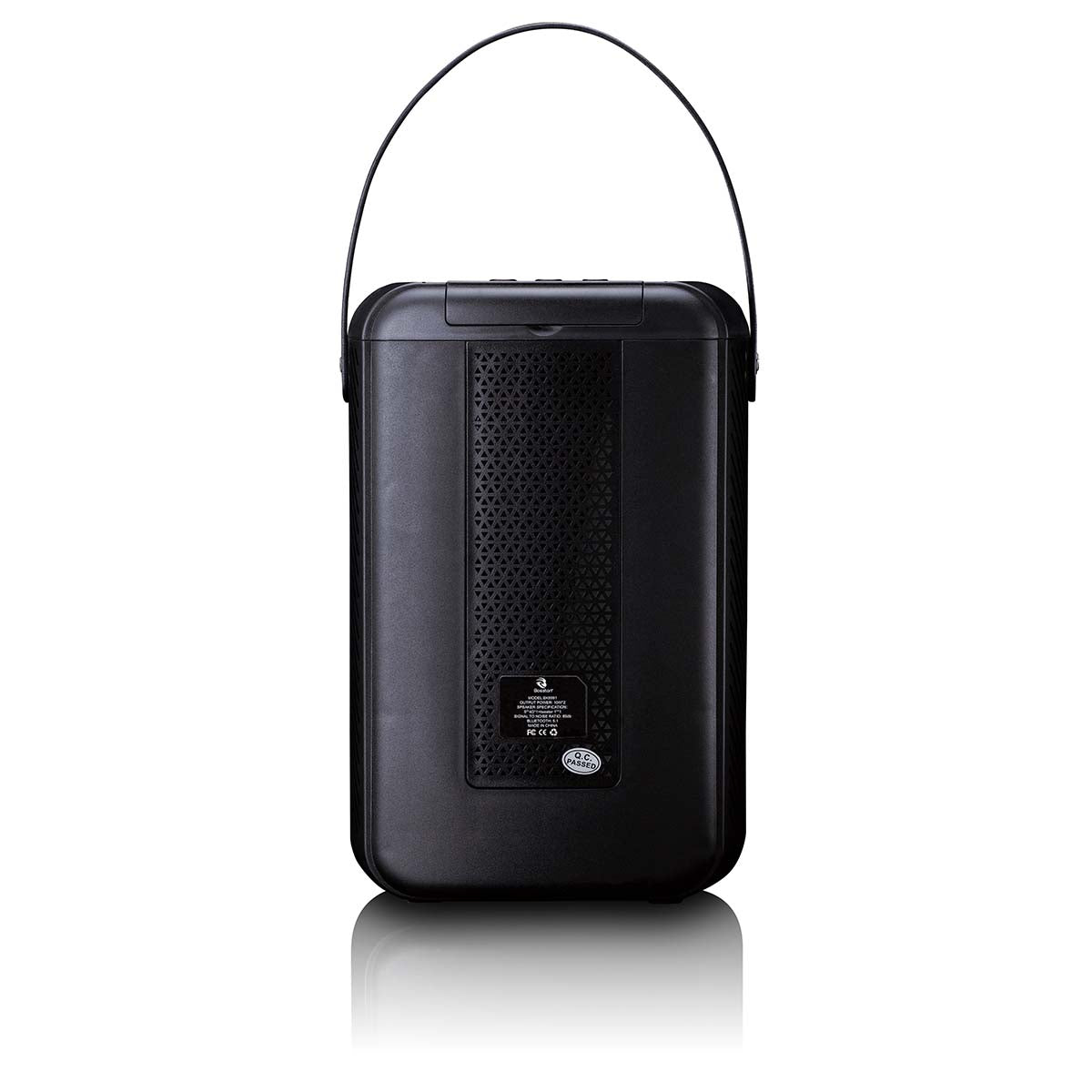 Karaoke-System mit Bluetooth®, wiederaufladbarem Akku, drahtlosem Karaoke-Mikrofon und Disco-LED-Beleuchtung Schwarz