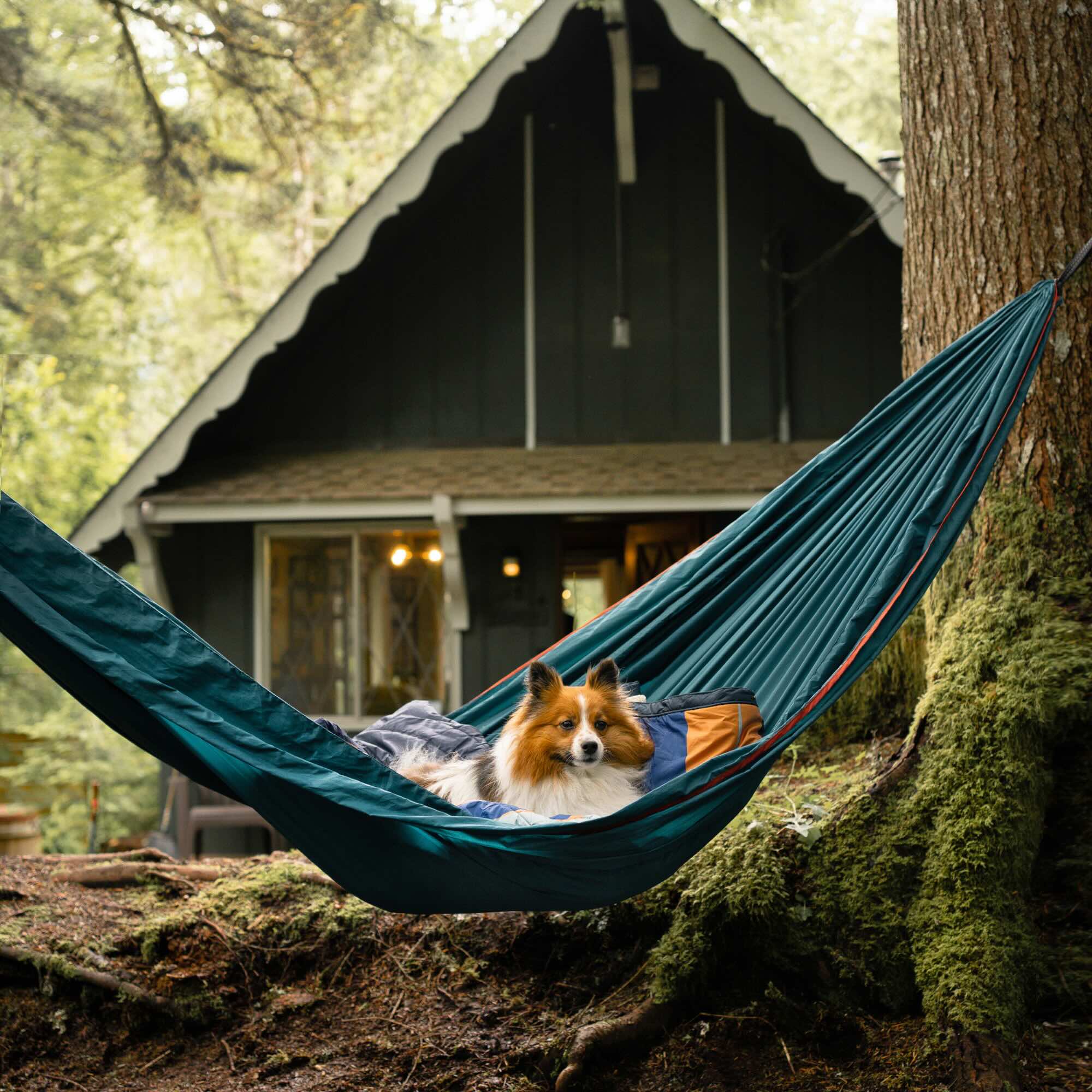 Grand Trunk TrunkTech Double Hammock (green)