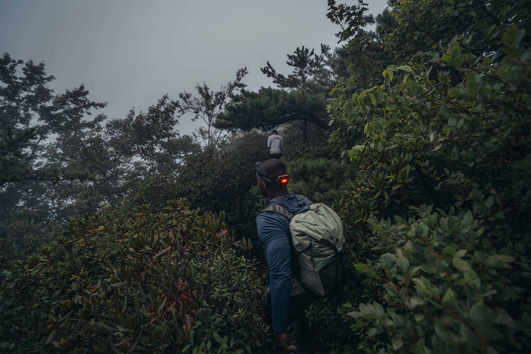 BioLite HeadLamp 800 Pro (grey)