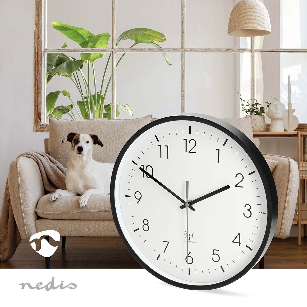 Wanduhr | Durchmesser: 300 mm | Kunststoff | Funkgesteuerte Zeit | Leise Bewegung | Schwarz / Weiss