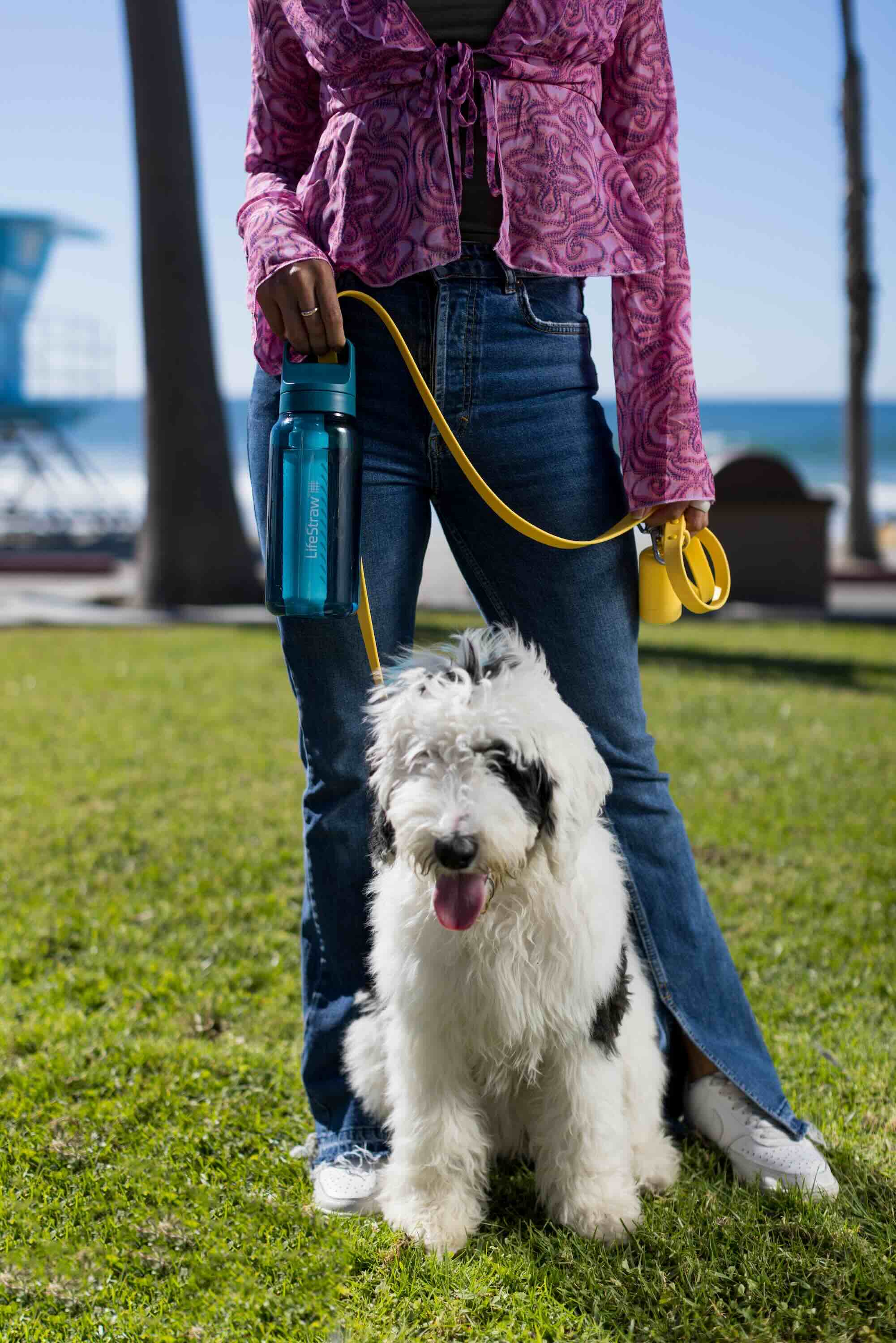 LifeStraw Go 1-Liter (terrace green)