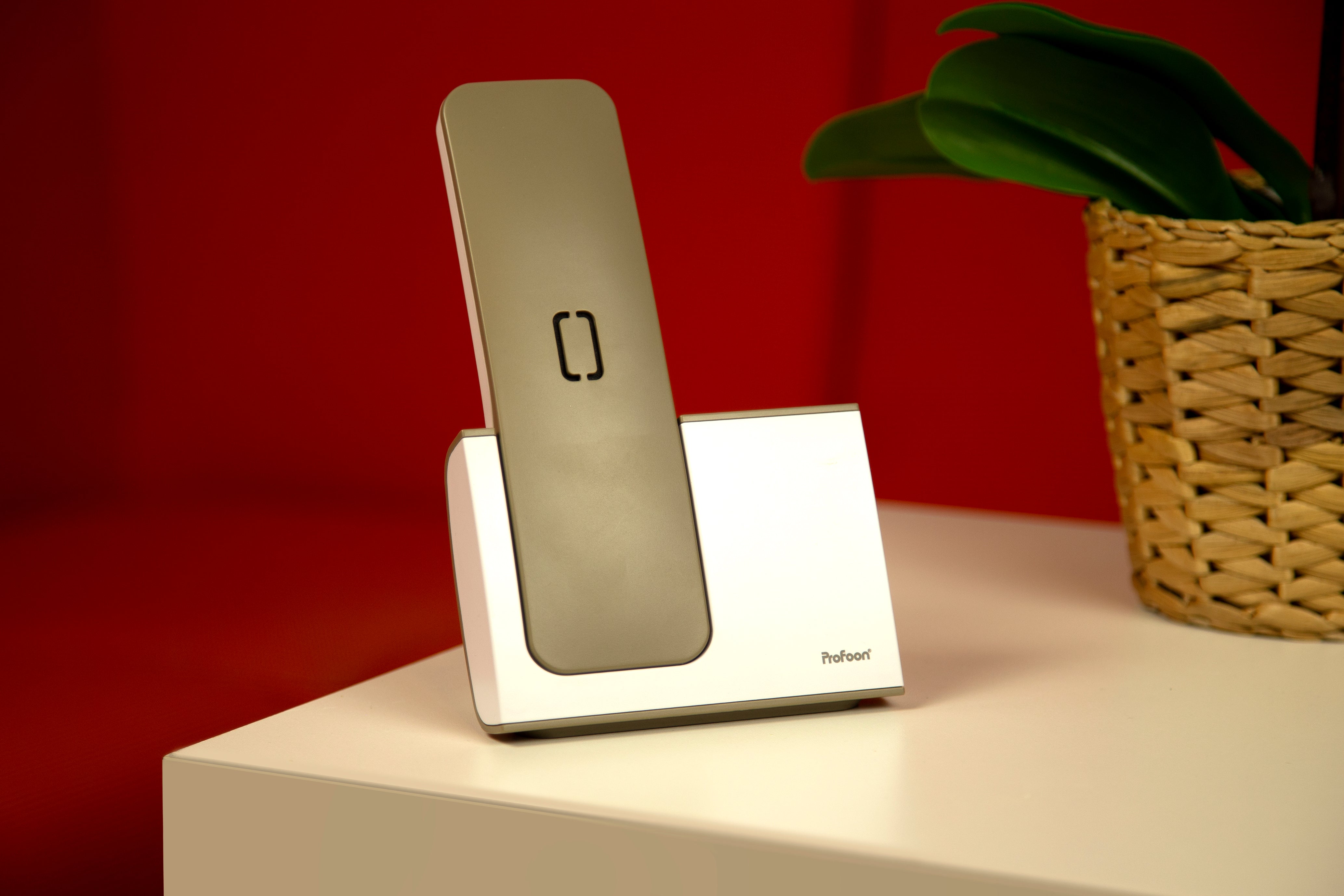 Schnurloses Telefon mit 1 Hörer Weiß / Taupe