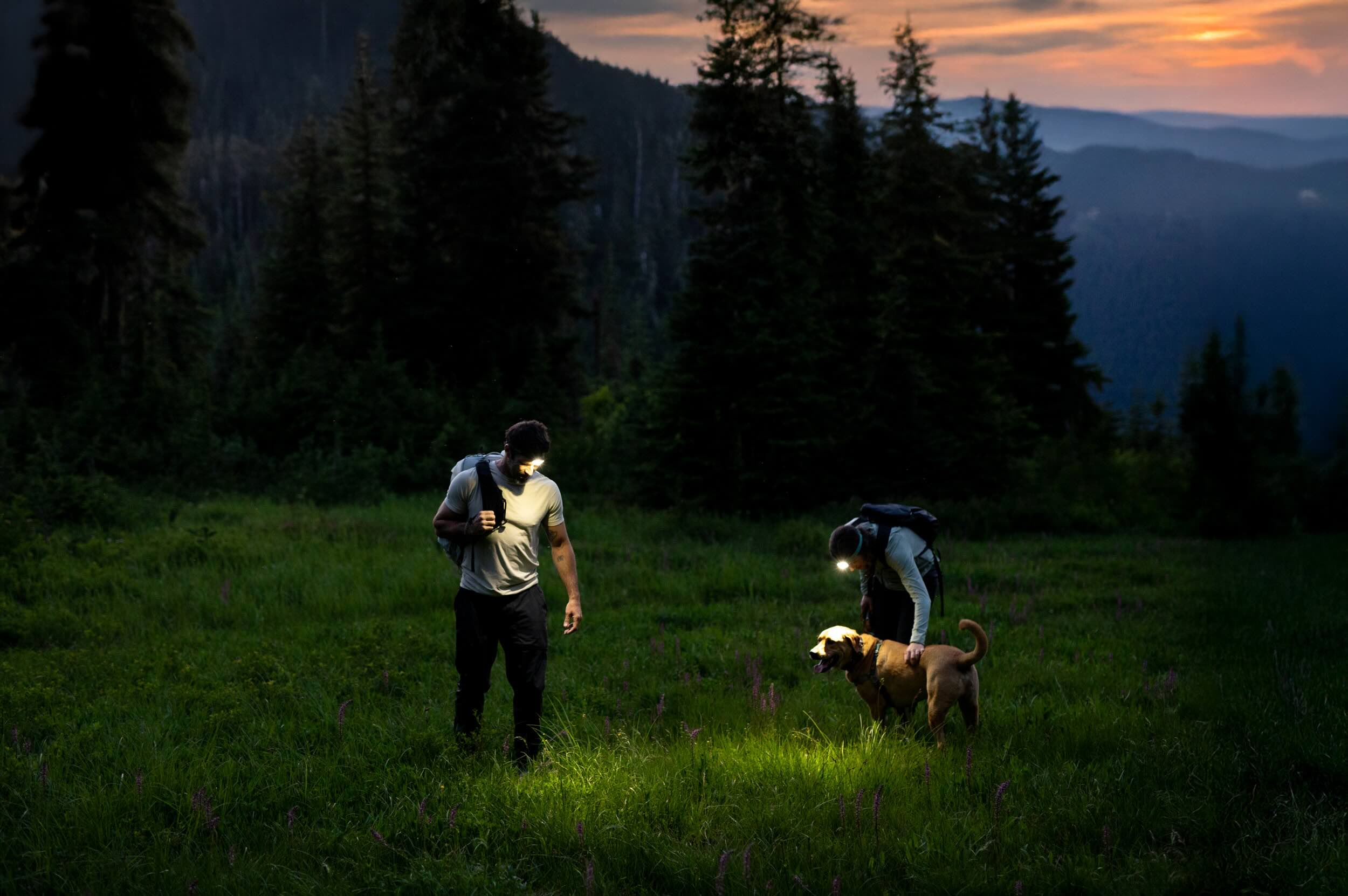 BioLite Range 300 (grey)