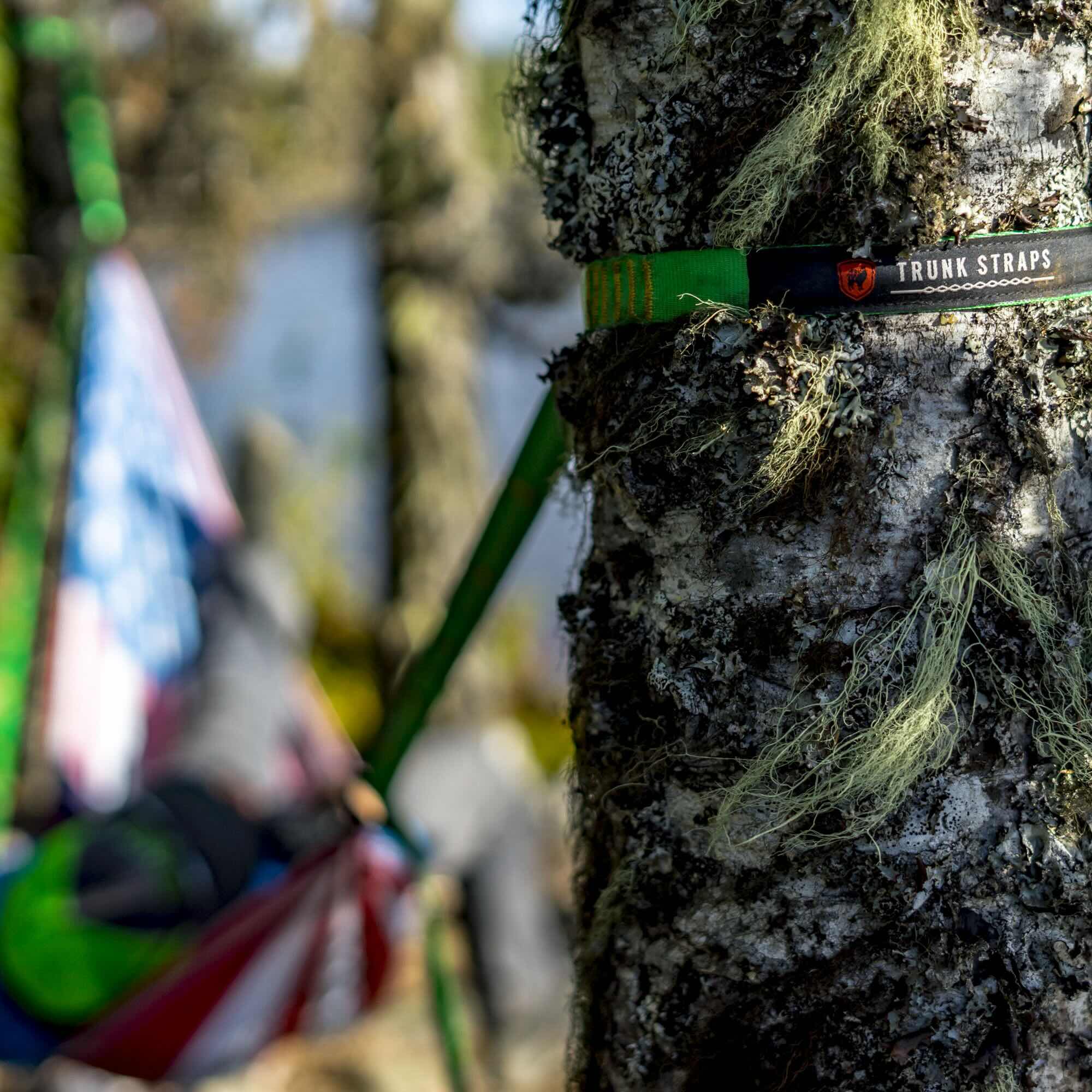 Grand Trunk Hammock Suspension Straps (forest)