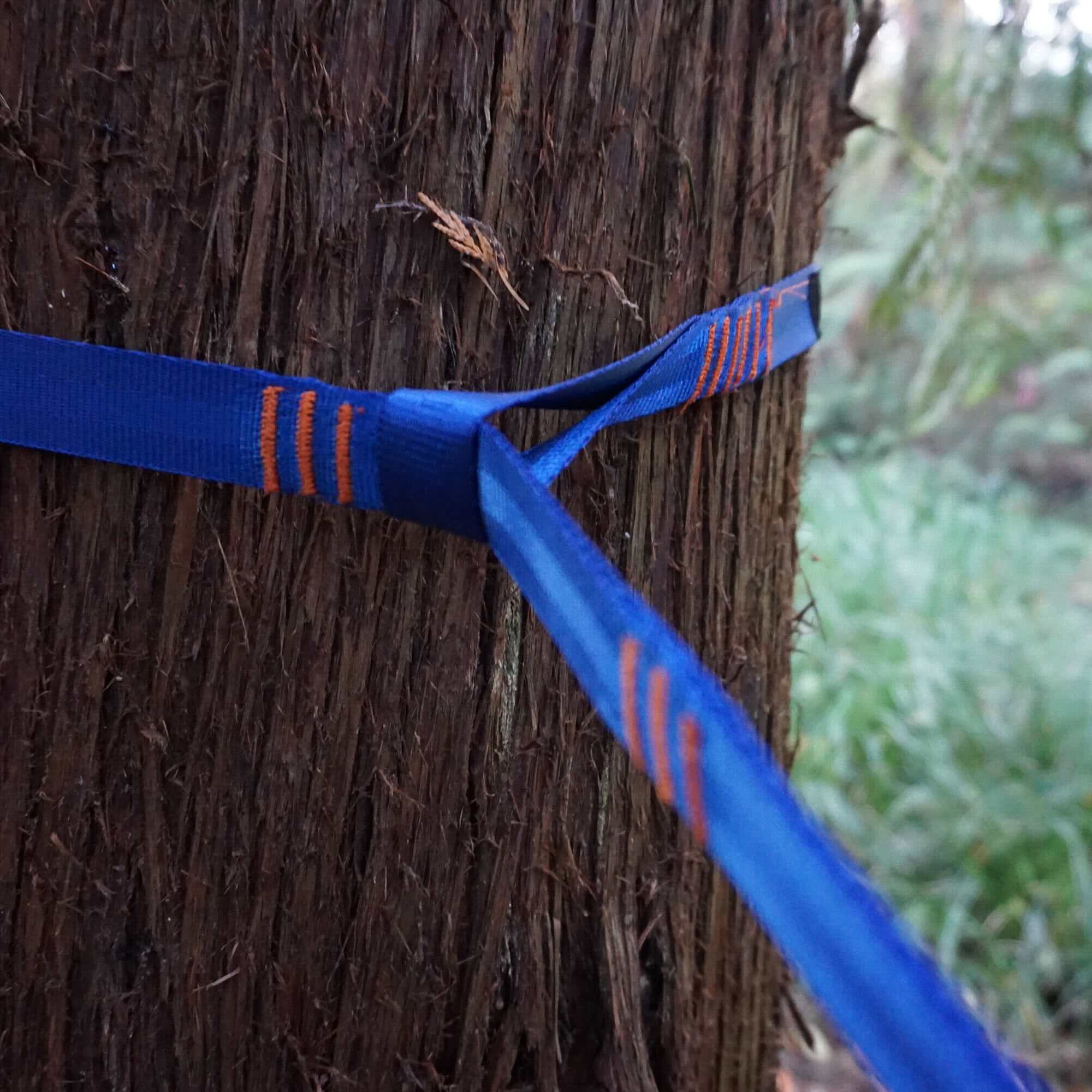 Grand Trunk Hammock Suspension Straps (forest)