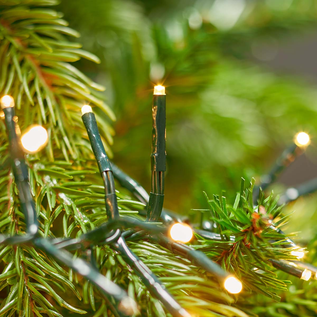 Weihnachtsbeleuchtung | Cluster | 1512 LED's | Warmweiss | 11.00 m | Lichteffekte: 7 | Innen- und Aussenbereich | Netzstromversorgung