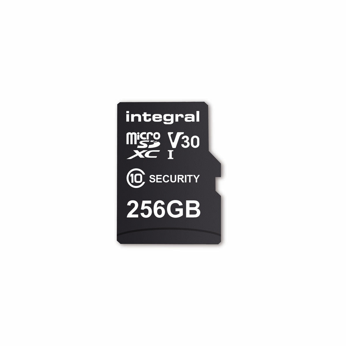 256 GB Überwachungskamera microSD-Karte für Dashcams, Home Cams, CCTV, Body Cams & Drohnen