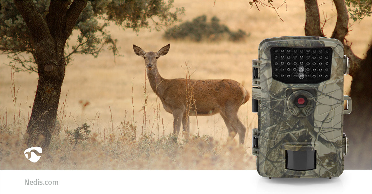 Wildlife Kamera | 4K@10fps | 48.0 MPixel | 4 MPixel CMOS | IP66 | Schwarz No-Glow IR | Nachtsicht | Blickwinkel: 90 ° | Bewegungssensor | Erfassungswinkel: 60 ° | Erfassungsbereich: 20.0 m | Monitorgröße: 2.3 " | LCD Screen | Braun / Grün